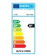 E27 8W LED-Lampe - Kohlefaden, mattiert, A67