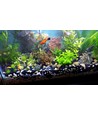 LEDlife Aquarium T8-Pro120 - 18W LED-Röhre, 12000K, 120 cm