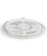 5m 3,6W/m LED-Streifen - 60 LEDs pro Meter, Farbwahl