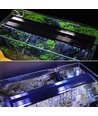 48-70 cm Aquariumleuchte - 11W LED, weiß/blau, verstellbar
