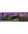 0,5m 10,5W Wasserdichtes Alu-Profil für Pflanzenwachstum - 24V DC, IP65, 3:1 Rot/Blau-Verhältnis, mit Stecker