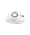 5m 11W/m LED-Streifen - 24V DC, IP20, 150lm/W, 168 LEDs pro Meter