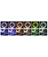 5m 12W/m RGB+WW LED-Streifen - 12V, IP65, 60 LEDs pro Meter