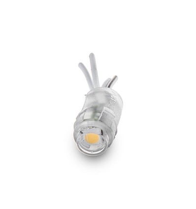 Wasserdichtes LED-Modul - 0,24W, IP68, 12V, Perfekt für Innen- und Außenprojekte