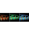 5 Meter 12W/m RGB+WW LED-Streifen - 24V DC, IP20, 60 LEDs pro Meter