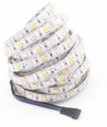 5m 12W/m RGB+WW LED-Streifen - 12V, IP65, 60 LEDs pro Meter