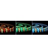 5m 12W/m RGB+WW LED-Streifen - 12V, IP65, 60 LEDs pro Meter