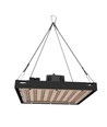 LEDlife Helios Wachstumsleuchte 150W - Inkl. Aufhängung, Vollspektrum, lüfterlos, dimmbar, IP65