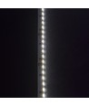 5m 11W/m Seitenlicht LED-Streifen - 24V DC, IP20, 120 LEDs pro Meter