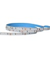 5m 11W/m Seitenlicht LED-Streifen - 24V DC, IP20, 120 LEDs pro Meter