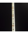 LEDlife 11W/m Seitenlicht LED-Streifen - 5m, IP65, 24V, 120 LEDs pro Meter