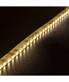 LEDlife 11W/m Seitenlicht LED-Streifen - 5m, IP65, 24V, 120 LEDs pro Meter