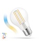 5W Smart Home LED-Lampe - Tuya/Smart Life, kompatibel mit Google Home, Alexa und Smartphones, A60, E27