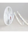 5m 12W/m LED-Streifen RA97 - 24V DC, IP20, 120 LEDs pro Meter