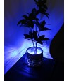 Wasserdichtes blaues LED-Modul - 1,1W pro Stück, IP66, 12V, Perfekt für Schilder und Sonderlösungen