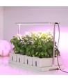 LEDlife hydroponische Pflanzenwanne - Weiß, inkl. Wachstumslicht, 20 Plätze, 4x2L Wassertank