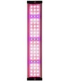 LEDlife hydroponische Pflanzenwanne - Weiß, inkl. Wachstumslicht, 20 Plätze, 4x2L Wassertank