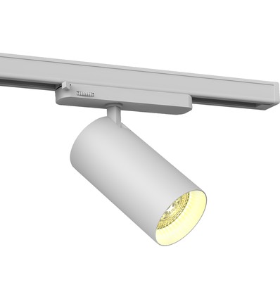 30W 3-Phasen RA90 Philips LED Schienenstrahler - 100 lm/W, 36 Grad, Weiß