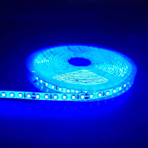 5m 10W/m Blauer LED-Streifen - 24V DC, IP65, 120 LEDs pro Meter