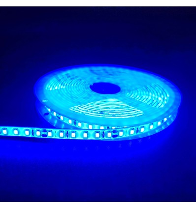 5m 10W/m Blauer LED-Streifen - 24V DC, IP65, 120 LEDs pro Meter