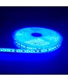 5m 10W/m Blauer LED-Streifen - 24V DC, IP65, 120 LEDs pro Meter