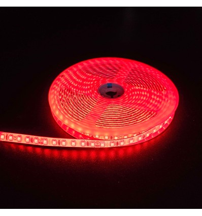 5m 10W/m Roter LED-Streifen - 24V DC, IP65, 120 LEDs pro Meter