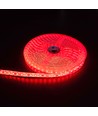 5m 10W/m Roter LED-Streifen - 24V DC, IP65, 120 LEDs pro Meter