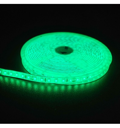 5m 10W/m Grüner LED-Streifen - 24V DC, IP65, 120 LEDs pro Meter