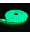 5m 10W/m Grüner LED-Streifen - 24V DC, IP65, 120 LEDs pro Meter