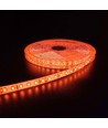 5m 10W/m Orange LED-Streifen - 24V DC, IP65, 120 LEDs pro Meter