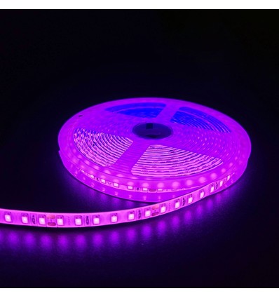 5m 10W/m Pink LED-Streifen - 24V DC, IP65, 120 LEDs pro Meter