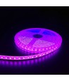 5m 10W/m Pink LED-Streifen - 24V DC, IP65, 120 LEDs pro Meter