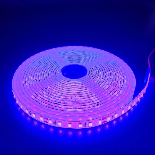 5m 10W/m Lila LED-Streifen - 24V DC, IP65, 120 LEDs pro Meter