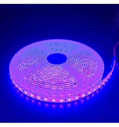 5m 10W/m Lila LED-Streifen - 24V DC, IP65, 120 LEDs pro Meter