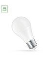 24V, E27 LED-Lampe, 10W - AC/DC, Spectrum