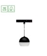 10-12W SYSTEM SHIFT BASIC GLOBE RING Schienenspot, 48V - 1200lm, 3000K, 35 Grad, 48V DC