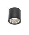 Deckenleuchte AR111, GU10 - IP65, schwarz, Aluminium, Aufbau, ohne Leuchtmittel