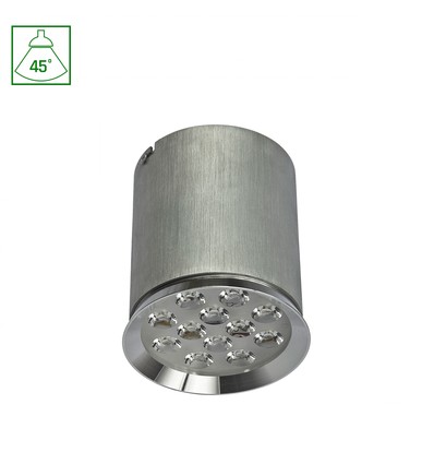 CHLOE 12LED 230V 12W IP20 45DEG CW DECKENLEUCHTE