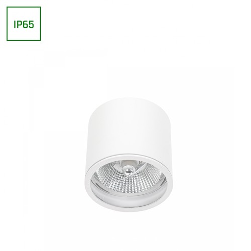 Chloe AR111 GU10 Aufbauspot - IP65, weiß/schwarz, ohne Leuchtmittel, Deckenmontage, innen / außen