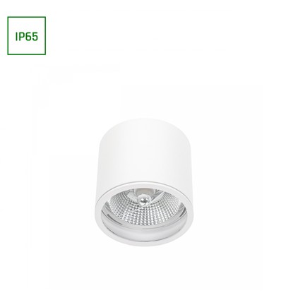Chloe AR111 GU10 Aufbauspot - IP65, weiß/schwarz, ohne Leuchtmittel, Deckenmontage, innen / außen