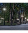 E27 36W LED-Lampe - 360°, mattiertes Glas