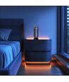 Outlet: Blumenvase mit LED-Licht Innen/Außen - Schwarz, dimmbar, IP54 für den Außenbereich