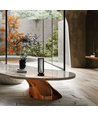 Outlet: Blumenvase mit LED-Licht Innen/Außen - Schwarz, dimmbar, IP54 für den Außenbereich