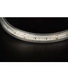 35m 8W/m LongRun LED-Streifen - 24V DC, IP67, ohne Spannungsabfall, 120 LEDs pro Meter