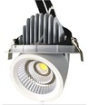 30W Fleisch-Downlight - Einstellbarer Winkel, Speziallicht für Fleisch