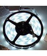 5m 12W/m RGB+CW LED-Streifen - 24V DC, IP65, 60 LEDs pro Meter