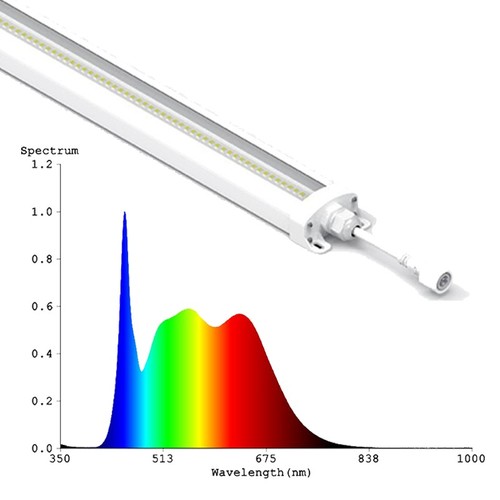 LEDlife 50W Philips LED Wachstumsleuchte - 112,5 cm, RA95, Vollspektrum, IK05, IP65