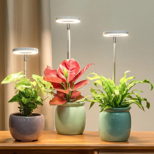 LEDlife Pflanzenlicht mit Spieß - 12W, Timer, dimmbar, höhenverstellbar