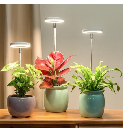 LEDlife Pflanzenlicht mit Spieß - 12W, Timer, dimmbar, höhenverstellbar