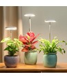 LEDlife Pflanzenlicht mit Spieß - 12W, Timer, dimmbar, höhenverstellbar
